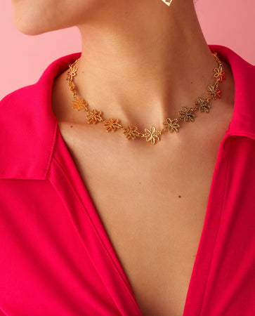 COLLIER APARA